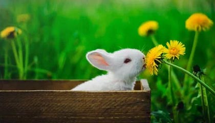 天津泰达主场失利，连胜止步